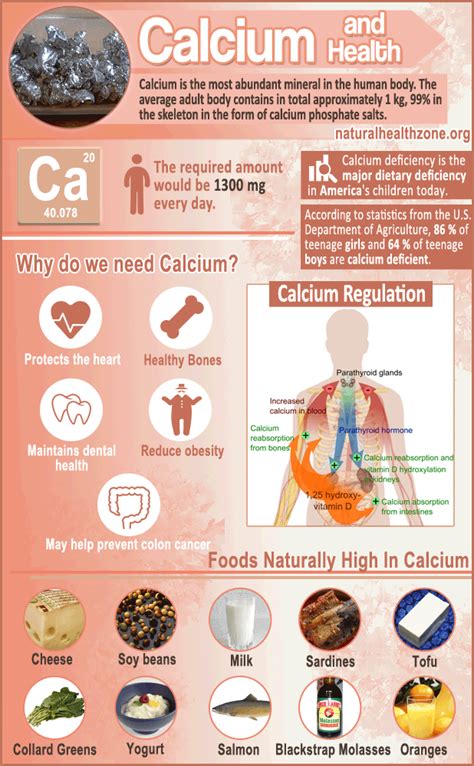 important facts about calcium and your health herbs health and happiness