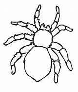 Arthropod sketch template