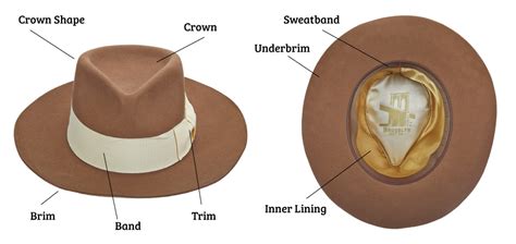 anatomy   hat  guide  hat terms