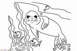 Mewarnai Laut Pemandangan Bawah Untuk Sketsa Marimewarnai Singa Hitam Putih Anjing Mewarna Dasar Kapal Hasil Hewan sketch template