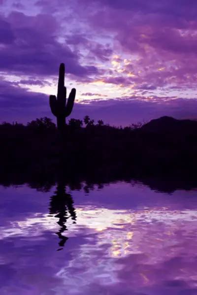 arizona sunsets arizona sunset pictures