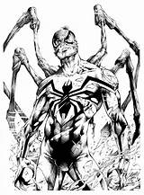 Spiderman Superior Marcio Abreu Deviantart Marvel sketch template