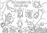 Kleurplaten Mooiste Oceaan Vierwindstreken Vissen Windstreken Regenboog Octopus Downloaden Uitprinten Afkomstig Dieren Volwassenen sketch template