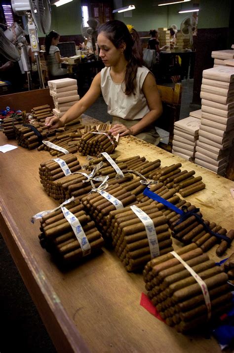 cuban cigars    substance match  hype houston chronicle