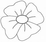 Poppy Colouring Coloring Template Pages Templates Pdf sketch template