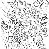 Coloring Japanese Pages Coy Fish Beautiful sketch template