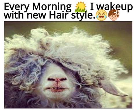 every morning i wake up with new hair style funny images and photos