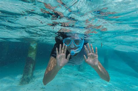 scuba snorkeling booking software roverd