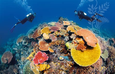 great barrier reef austrialia luxury places