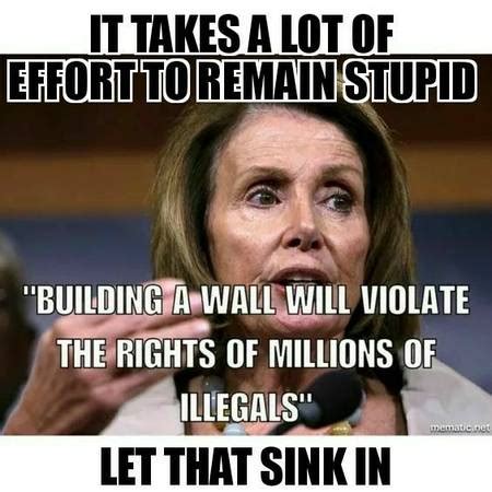 fact check  nancy pelosi  building  wall  violate  rights  millions  illegals