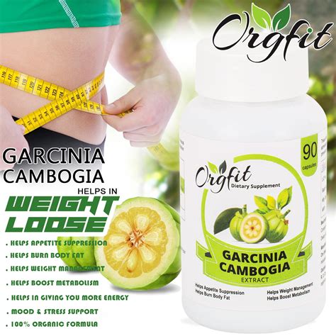 orgfit garcinia cambogia for weight loss 90 no s fruit buy orgfit