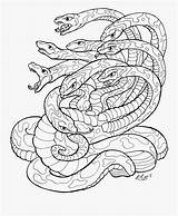Dragon Hydra Clipartkey sketch template
