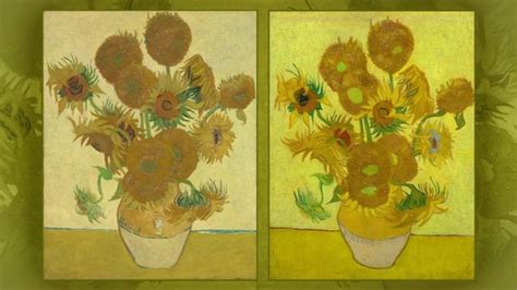 van goghs sunflower paintings  reunited bbc news