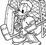 Hockey Duck Bruins Crosby Coloringhome Sidney Sheets Goalie Halon Clipartmag Rink Mighty Everfreecoloring Hellokids Ausmalbilder Uitprinten Downloaden sketch template