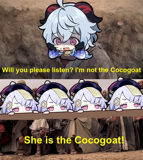 we found the cocogoat genshin memepact