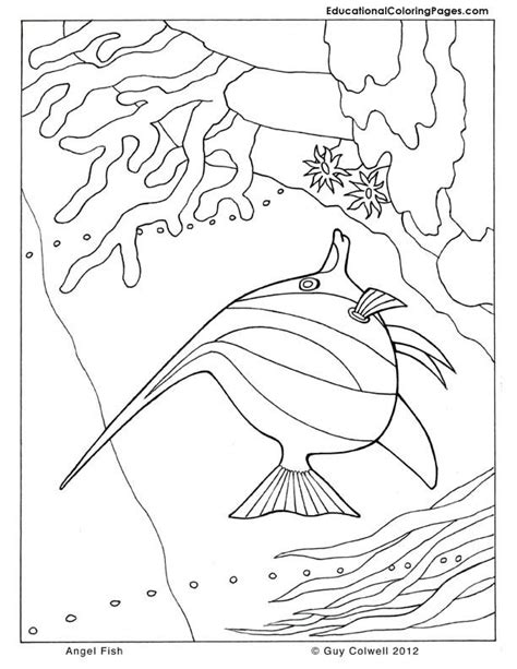 angel fish coloring fish coloring pages fish coloring page animal