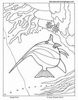 Coloring Pages Seashore Fish Angelfish Angel Animal Sea Drawing Printable Kids Drawings Book Two Getdrawings Ocean Choose Board Zentangle Designlooter sketch template