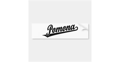 pomona script logo  black bumper sticker zazzle