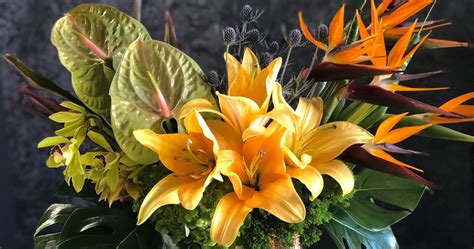 grow  care  beautiful exotic indoor plants  flowers