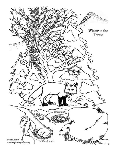 forest  winter coloring page
