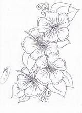 Flower Coloring Pages Hibiscus Beautiful Tattoo Visit sketch template