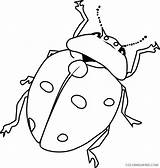 Coloring4free Ladybug sketch template