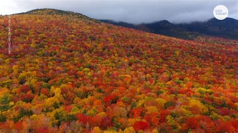 Breathtaking Fall Foliage Colors Line Trees Throughout New Hampshire