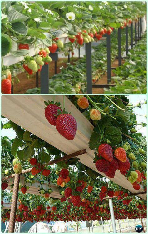 space saving strawberry garden gardening planter ideas