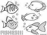 Fish Fishes sketch template