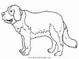 Bernhardiner Hunde sketch template