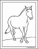 Horse Coloring Printable Pages Colt Morgan Clydesdale Print Color Young Getcolorings Riding Colorwithfuzzy sketch template