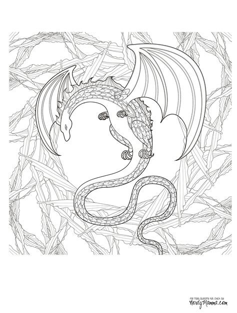 printable adult coloring pages cool coloring pages animal