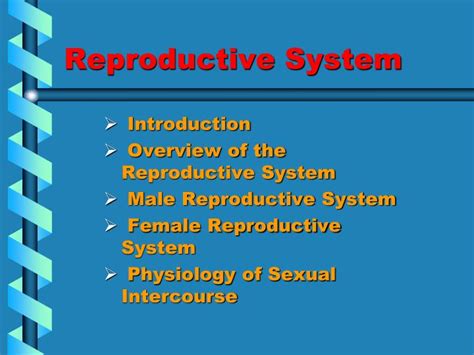 Ppt Reproductive System Powerpoint Presentation Free