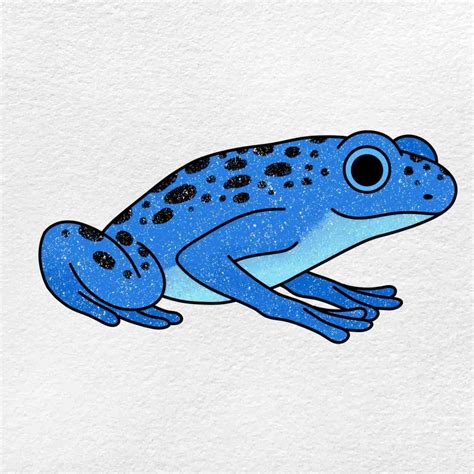 share  amphibians animals drawing nhadathoanghavn