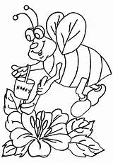 Coloring Honeycomb Getcolorings Beehive Honey sketch template