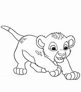 Lionceau Lionceaux Benjaminpech Inspirant Imprimer Savane Animaux Depuis sketch template