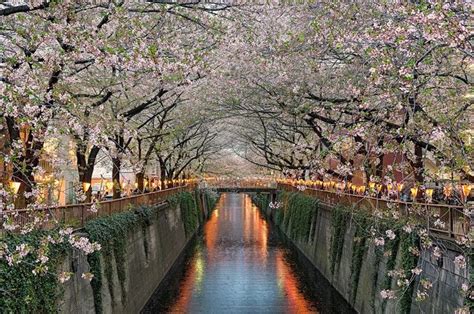 google chromecast city scenic wallpapers travel photography japan photo tokyo japan