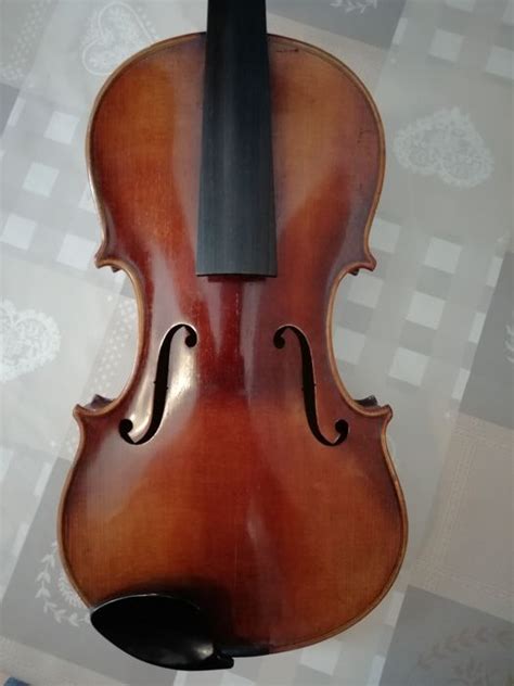 prachtige viool catawiki