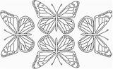 Butterfly Monarch Uteer sketch template
