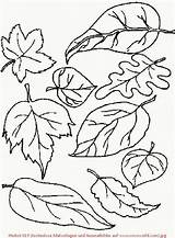 Herbst Ausmalen Malvorlagen Gemerkt sketch template
