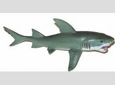 Jaws Toy Shark