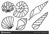 Conchiglie Disegnare Outlines Shellfish sketch template