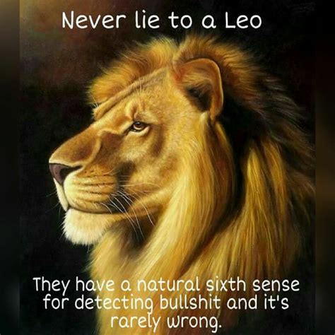 Leo Virgo Cusp Astrology Leo Leo Horoscope Leo Zodiac Quotes Leo