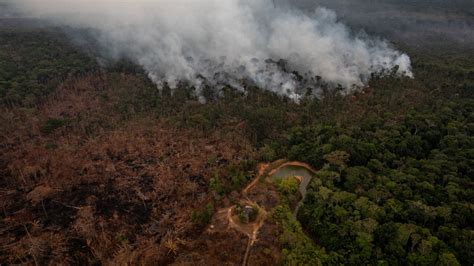 outrage  rainforest fires    amazon remain defiant   york times