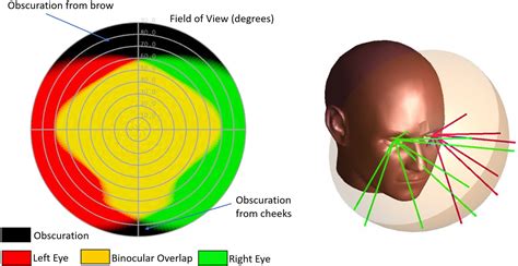 peripheral vision  depth perception   human eye displaymodule