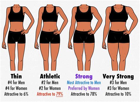 survey results   attractive female body composition muscle fat proportions bony