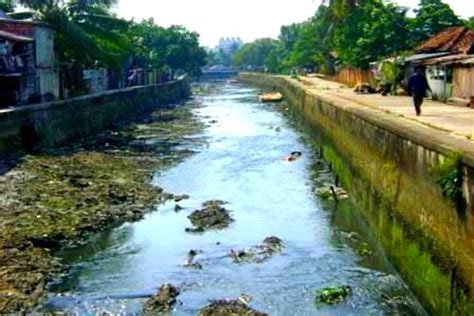 221 Anak Sungai Musi Hilang Pendangkalan Sungai Di Medan