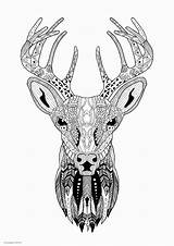 Adult Coloring Pages Christmas Reindeer Printable Adults Santa Print Look Other sketch template