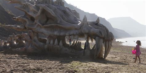 australian science agency apologises   girl   researching dragons huffpost uk