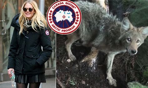 canada goose sued by campaigners for using fur obtained by cruelty to